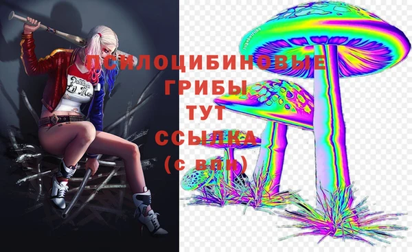 экстази Абаза