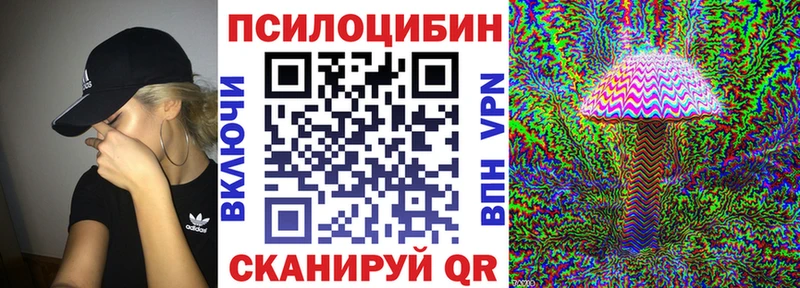 MEGA   Зея  Галлюциногенные грибы Psilocybe 